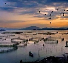 开平伴游中国网景点丰富(旅游网介绍)
