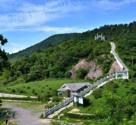 开平休闲游(休闲旅游的含义及特点)