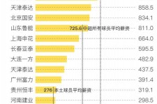 开平关于伴游小丽中国足球的信息