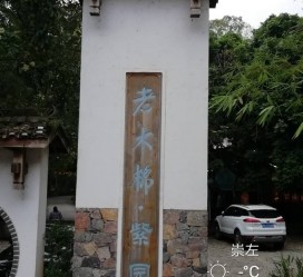 开平关于伴游中国伴游你们伴得是什么游的信息