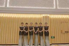 开平杭州模特礼节兼职群(杭州兼职商务模特经纪人微信)