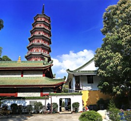 开平广州自由行(广州 自由行)