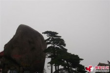 开平上海伴游私家陪游雇用女模(上海伴游私家陪游雇用女模特)