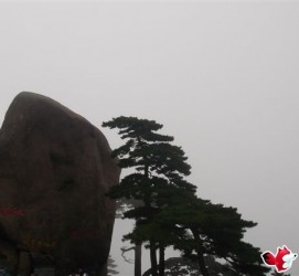 开平上海伴游私家陪游雇用女模(上海伴游私家陪游雇用女模特)