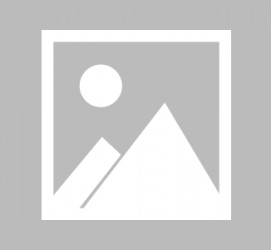 开平新加坡伴游雇用信息(想做伴游哪里有雇用的?)