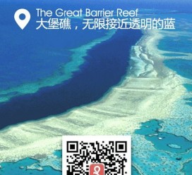 开平中国250家旅行社结伴游新西兰(新西兰当地旅行社)