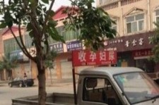 开平上海伴游 用伴游造句大全(5