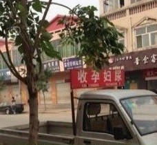 开平上海伴游 用伴游造句大全(5