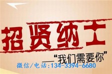 开平酒店雇用伴游(酒店雇用伴游办事员)