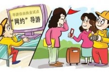 开平伴游是什么