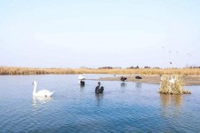 开平南昌附近伴游小妹兼职(1534939978姐的微信德惠市)