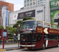 开平上海私人伴游 上海过年怎么玩？这些“微游”线路了解下→