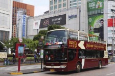开平上海私人伴游 上海过年怎么玩？这些“微游”线路了解下→