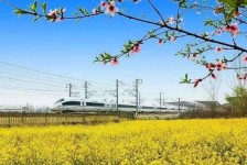 开平高铁游(高铁游戏下载手机版)