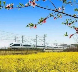 开平高铁游(高铁游戏下载手机版)