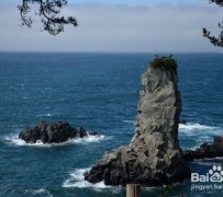 开平旅游全攻略(上海旅游全攻略)