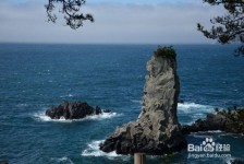 开平旅游全攻略(上海旅游全攻略)