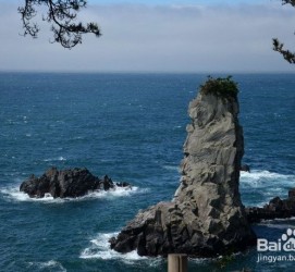 开平旅游全攻略(上海旅游全攻略)