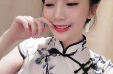 开平伴游中国网气概(旅游伴游中国)