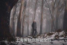 开平上海私人伴游 上海伴游，上海兼职伴游安全吗