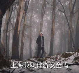开平上海私人伴游 上海伴游，上海兼职伴游安全吗