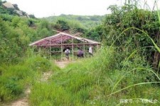 开平北海伴游兼职雇用信息(北海伴游兼职雇用信息大全)