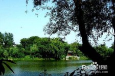 开平西湖旅游攻略(上海到杭州西湖旅游攻略)