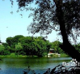开平西湖旅游攻略(上海到杭州西湖旅游攻略)