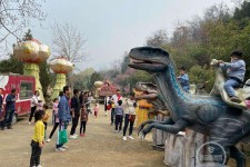 开平中国伴游带你打卡网红南山竹海(南山竹海网上预约)