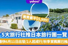 开平旅游价格(旅游价格机制)