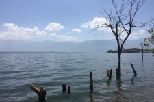 开平洱海旅游攻略(洱海旅游攻略自由行)