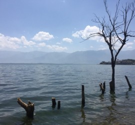 开平洱海旅游攻略(洱海旅游攻略自由行)