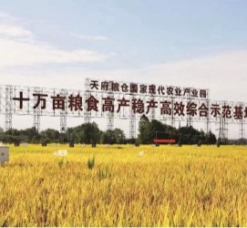 开平关于成都商务伴游外围雇用的信息