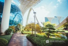 开平杭州外围伴游雇用(杭州外围雇用经纪人)