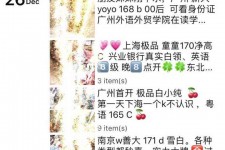 开平外围伴游雇用圈套(雇用伴游什么样子的是实的)