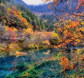 开平四川旅游攻略(四川旅游攻略十五日游)