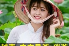 开平日本关东伴游中国(日本关西旅行)