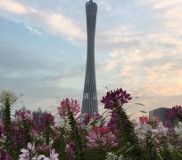 开平广州旅游攻略(杭州到广州旅游攻略)