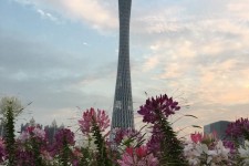 开平广州旅游攻略(杭州到广州旅游攻略)