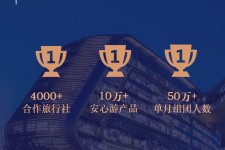 开平上海私人伴游 ​ “小而美”的新时代：2020年国内新跟团消费报告