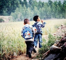 开平河南一家四口结伴游中国2个月(河南适合一家四口旅游的地方)