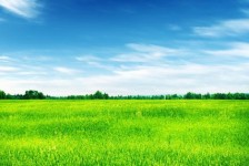 开平上海伴游 上海模特伴游微信号的交友宣言