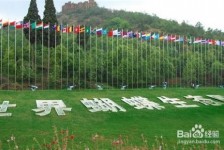 开平昆明旅游攻略(昆明旅游攻略景点大全抚仙湖)