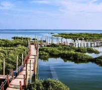 开平旅游哪里好玩(云南旅游哪里好玩)