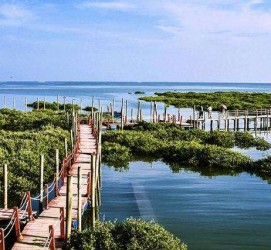 开平旅游哪里好玩(云南旅游哪里好玩)