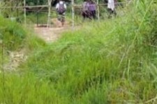 开平苍溪学生做伴游兼职(苍溪学生做伴游兼职怎么样)
