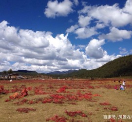 开平旅游去处(暑期最好的旅游去处)