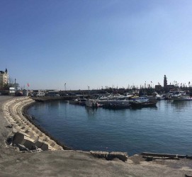 开平大连旅游攻略(大连旅游攻略自由行)