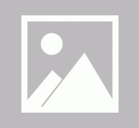 开平私人伴游 黄金周里动“黄”经 天津又现“私人陪游”逆流