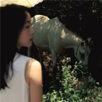 开平私家伴游让你拥有一次完美的旅游体验